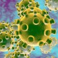 cornonavirus 120x120 - Information You Can Trust..Check in to The Dr. Steven Mickley Community Health Resource Section at Greenwich Hospital